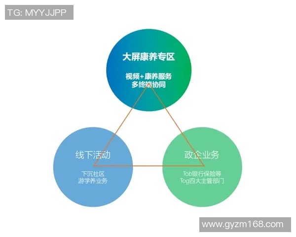 F1新技术如何革新赛道表现与竞技策略的实际应用案例分析