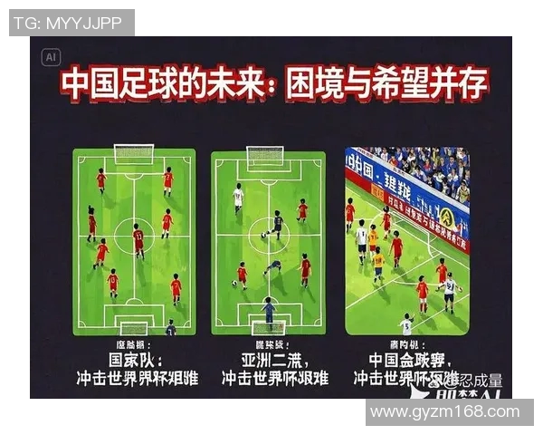 中国足球青训系统发展现状与未来展望分析报告